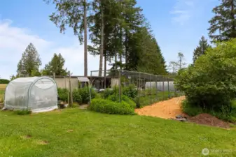 Fenced freshly prepared for the 2025 season with new raised garden beds, ready for your planting dreams.with a water catchment system offer a sustainable way to grow your own produce and berries. Prefer a low-maintenance yard? The seller is happy to remove the beds and system upon request—flexibility to fit your lifestyle.