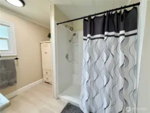 More of the primary bathroom.