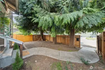 Beautiful walkway with brand new fence