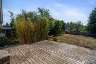 South facing backyard is perfect for gardening, gathering, and entertaining.