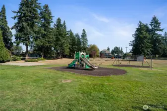 Brand new playground and dock will have your parties lit!