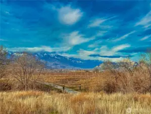 View towards Osoyoos, British Columbia