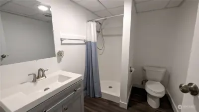 Lower level bathroom.