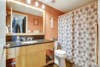 With thoughtful storage, this bathroom provides a true bathtub, plenty of counter space, and easy to maintain flooring!