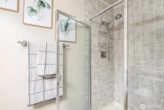 Shower in primary bath