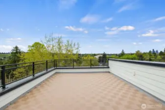 Fabulous views from the spacious rooftop deck.