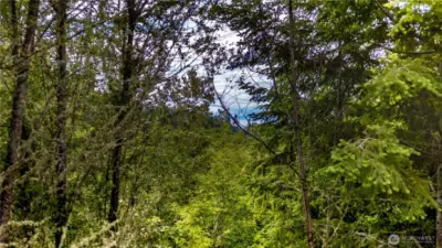 Peek-a-boo water view - needs some tree/brush clearing!