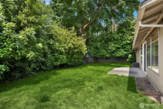 Mature backyard is ready for your creative gardening ideas.