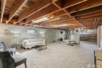 HUGE basement area, perfect for entertaining, flex area living space...you name it!
