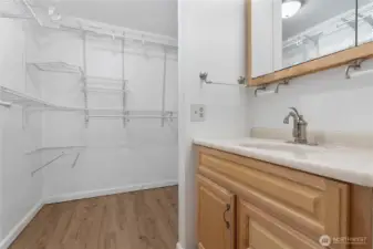 Primary closet with sink and the toilet and shower are around to the left with a door for privacy.