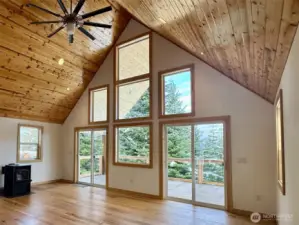 Dual sliding doors to the large covered deck.  Decking spans the whole backside of the home.