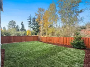 Actual backyard of the home