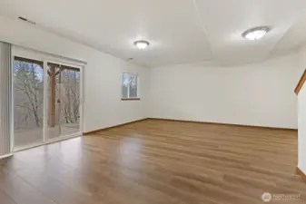 Lower Level with access to back yard