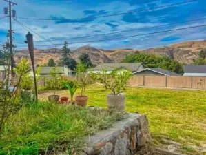 Fenced back yard. *Current photos unavailable due to tenancy restrictions.