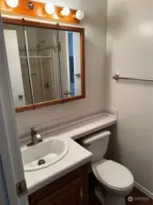 Guest Bathroom with shower
