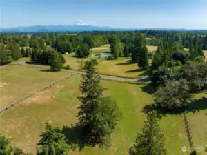 Front half of the property is lightly treed with rolling topography. Potential Mt Rainier views from your new home!