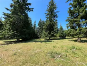 View from the middle of the property looking north