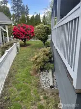 Fully fenced Yard