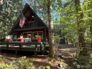 Come see this lovely cabin in the woods at gorgeous Lake Cushman!