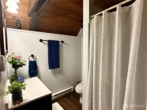 Bathroom downstairs w/ shower and vanity.