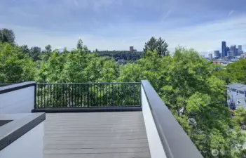 Rooftop Deck with City Views