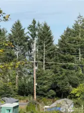 Peekaboo view of Willapa Bay