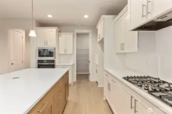 Gourmet Kitchen w/ Mt. Rainier Views