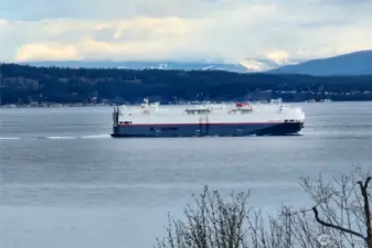 So fun to see the magnificant ships coming and going.