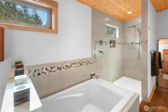 Adjoining shower and a roomy walk in closet in the back corner.