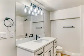 Lower Level Bath