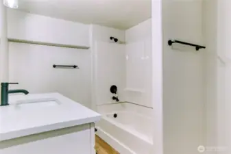 Lower Level Bath