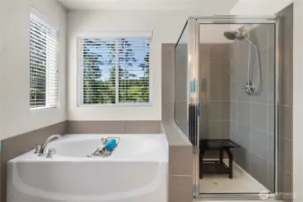 Soaking tub & walk-n shower