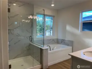 Primary shower and bath tub