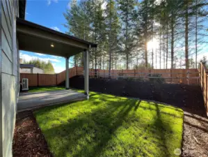 Back yard space with covered patio