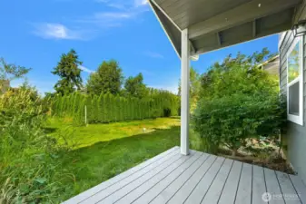 Back deck