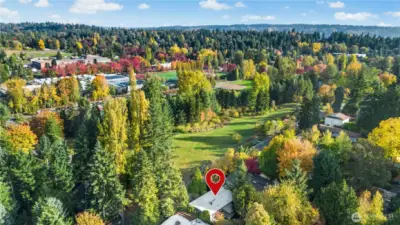 Eagles view of the park