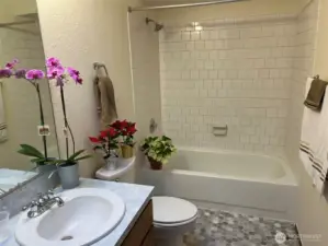 Upstairs Bath with Skylight