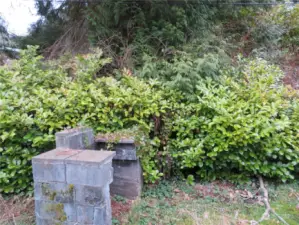 Backyard with rhododendrons, cedar and a little grass area.  Take back some of this vegetation.  Barbecue that could be rehabbed for a salmon grill.  Room for chairs and so on.