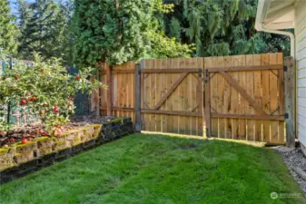 Fenced backyard