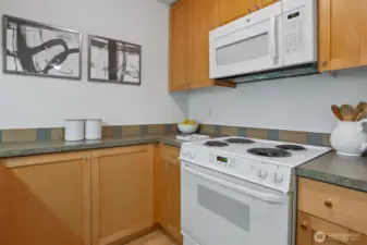 Alternate Kitchen View