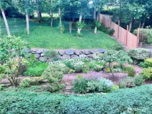 View from below of uphill garden and tiered garden