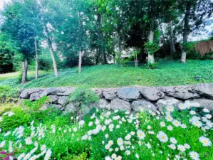 Uphill view of backyard with retainer walls