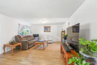Light-filled Living Room