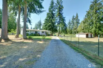 Tree lined Driveway