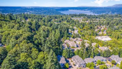 Convenient Bellevue location close to freeways, amenities, and Eastside employers. Welcome home!