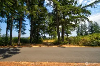 VIEW OF BACK 56 ACRES OF LOST LAKE