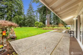 Backyard view from side walkway on side