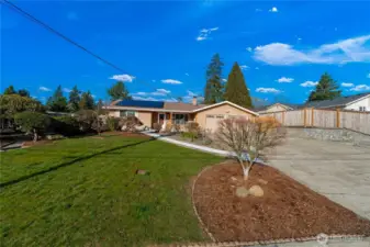 Large wide front yard with mature trees, offering great curb appeal in a peaceful residential setting