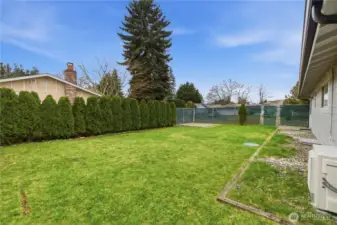 Enjoy this large, spacious backyard for summer BBQing and fun!