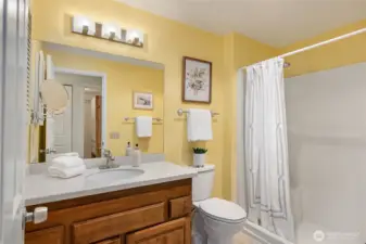 Guest bathroom.